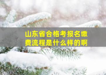 山东省合格考报名缴费流程是什么样的啊