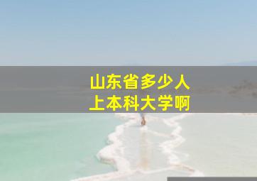 山东省多少人上本科大学啊