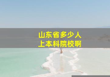 山东省多少人上本科院校啊