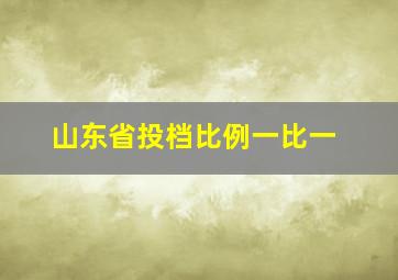 山东省投档比例一比一