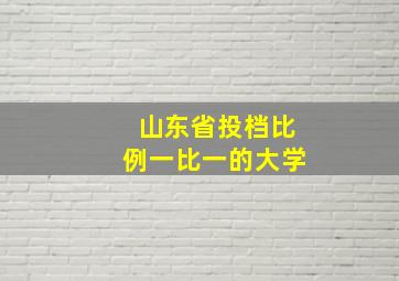 山东省投档比例一比一的大学