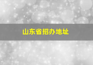 山东省招办地址