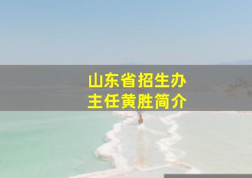 山东省招生办主任黄胜简介