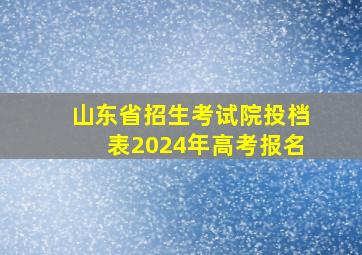 山东省招生考试院投档表2024年高考报名