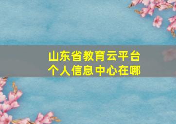 山东省教育云平台个人信息中心在哪