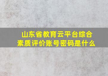 山东省教育云平台综合素质评价账号密码是什么