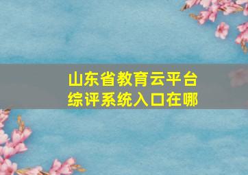 山东省教育云平台综评系统入口在哪