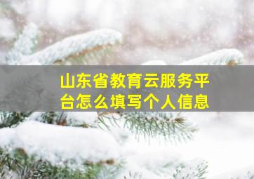 山东省教育云服务平台怎么填写个人信息