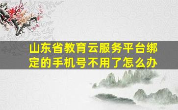 山东省教育云服务平台绑定的手机号不用了怎么办