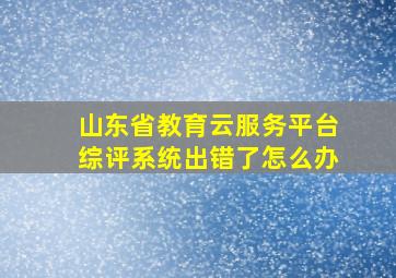 山东省教育云服务平台综评系统出错了怎么办