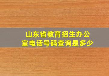 山东省教育招生办公室电话号码查询是多少