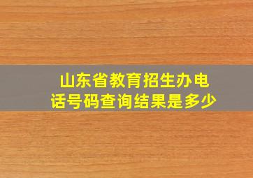 山东省教育招生办电话号码查询结果是多少