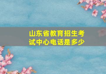 山东省教育招生考试中心电话是多少