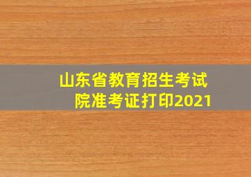 山东省教育招生考试院准考证打印2021