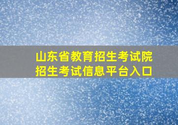 山东省教育招生考试院招生考试信息平台入口