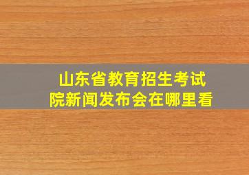 山东省教育招生考试院新闻发布会在哪里看