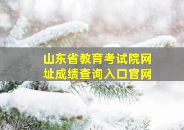 山东省教育考试院网址成绩查询入口官网