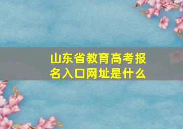 山东省教育高考报名入口网址是什么