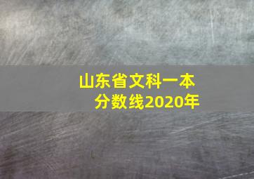 山东省文科一本分数线2020年