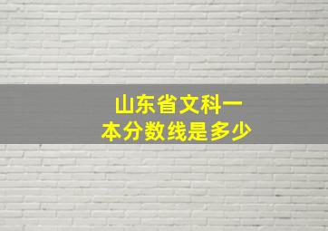 山东省文科一本分数线是多少