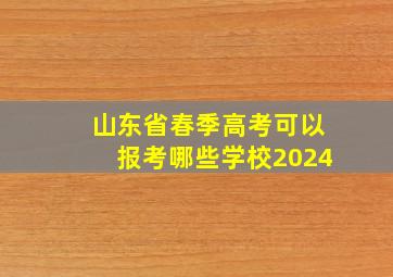 山东省春季高考可以报考哪些学校2024