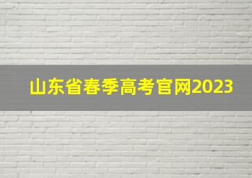 山东省春季高考官网2023