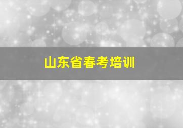 山东省春考培训