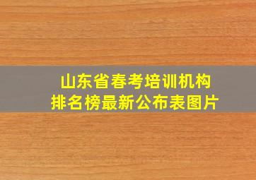 山东省春考培训机构排名榜最新公布表图片