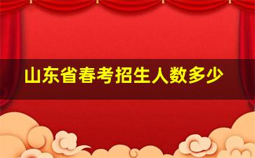 山东省春考招生人数多少