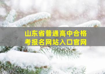 山东省普通高中合格考报名网站入口官网