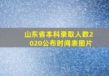 山东省本科录取人数2020公布时间表图片