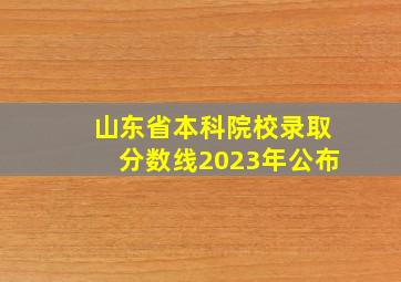 山东省本科院校录取分数线2023年公布