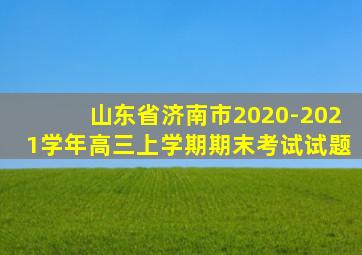 山东省济南市2020-2021学年高三上学期期末考试试题