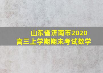 山东省济南市2020高三上学期期末考试数学