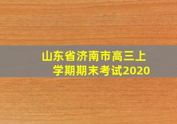 山东省济南市高三上学期期末考试2020