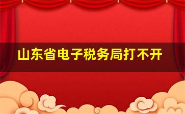 山东省电子税务局打不开