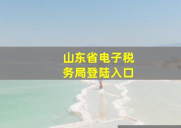 山东省电子税务局登陆入口