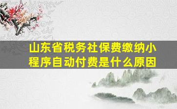 山东省税务社保费缴纳小程序自动付费是什么原因