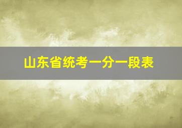 山东省统考一分一段表