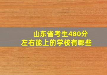 山东省考生480分左右能上的学校有哪些