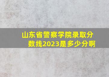 山东省警察学院录取分数线2023是多少分啊