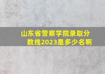 山东省警察学院录取分数线2023是多少名啊