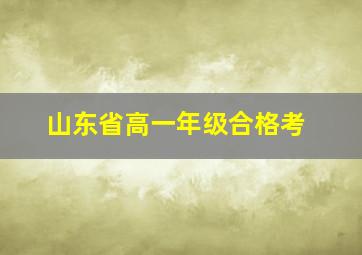 山东省高一年级合格考