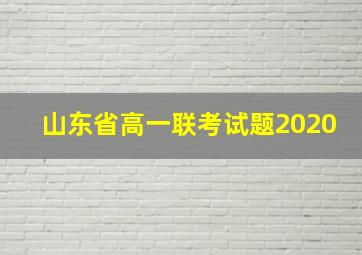 山东省高一联考试题2020