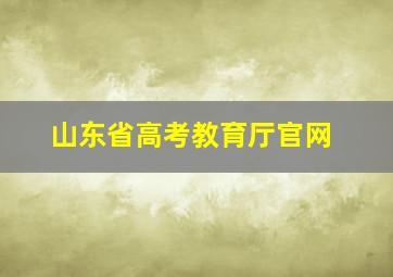 山东省高考教育厅官网