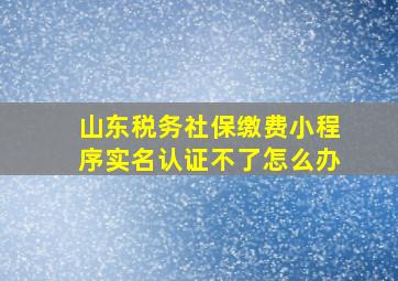 山东税务社保缴费小程序实名认证不了怎么办