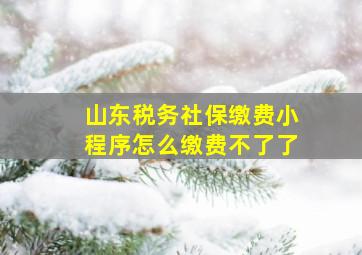 山东税务社保缴费小程序怎么缴费不了了