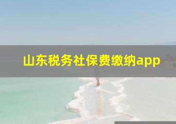 山东税务社保费缴纳app