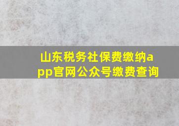 山东税务社保费缴纳app官网公众号缴费查询