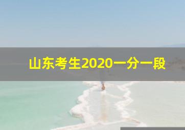 山东考生2020一分一段